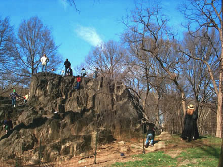 Miami In Focus Photo Gallery of Kids Rock Climbing in Central Park, New ...
